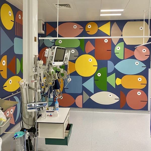 Fresque murale / Groupe hospitalier Seclin – Carvin